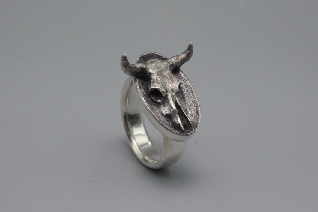 #1565, Cow Skull, Size 10-